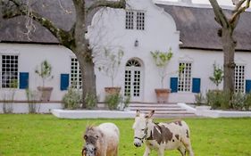 San Gabriel Homestead